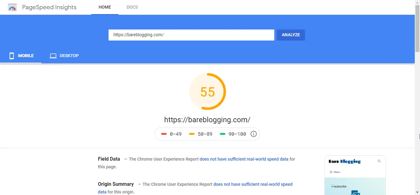 Google PageSpeed Insight report before optimization